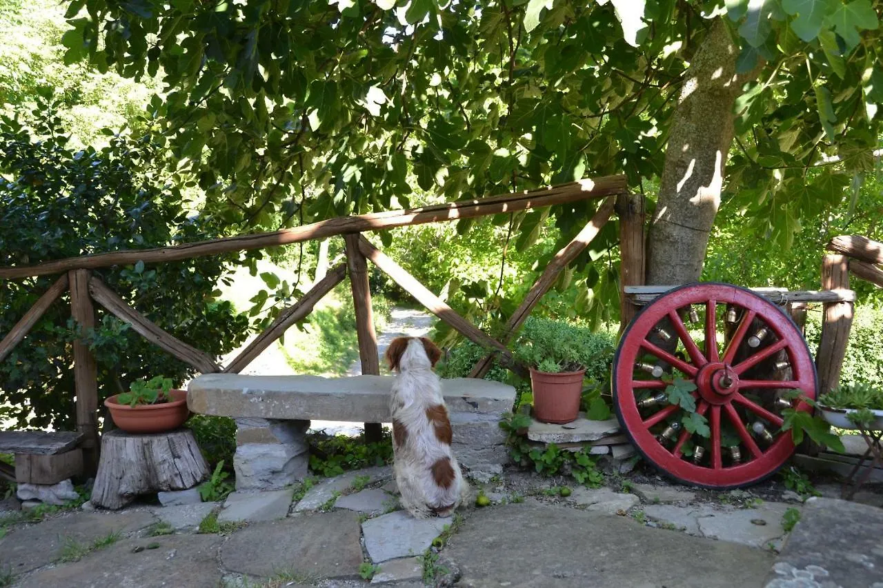 B&B Il Palazzo Sansepolcro Italien