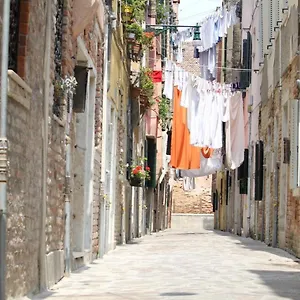 Veneziacentopercento , Venice Italy