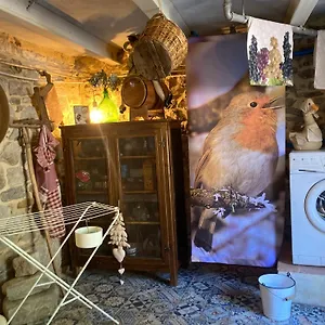 La Pecora E L Agnello Frühstückspension